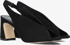 Zwarte Notre-v 37868