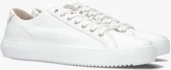 Witte Blackstone Lage Sneakers Morgan Low